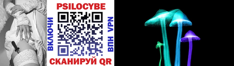 сколько стоит  Игарка  Галлюциногенные грибы Psilocybine cubensis 